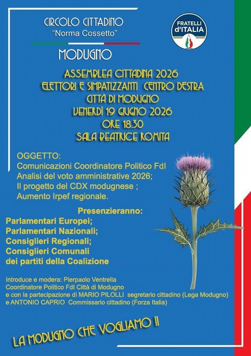 Assemblea cittadina