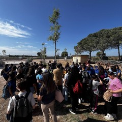 Simposio Internazionale di Scultura a Modugno
