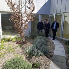 Asilo nido i passi di Alice