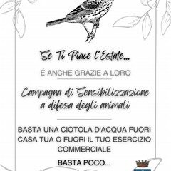 Campagna di sensibilizzazione animali estate Modugno