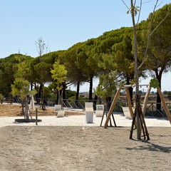 Parco Pinuccio Loiacono