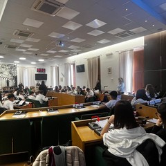 Scuola e istituzioni