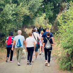 Salutiamo l'estate in cammino: una passeggiata serale verso la Madonna della Grotta