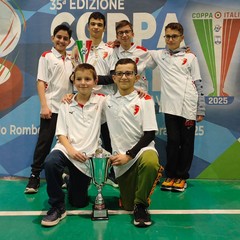 Subbuteo, Coppa Italia FISCT