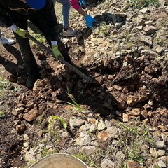 “Dove c’era un muro, oggi nasce un varco”: l’idea dell’associazione “Sentieri Modugnesi” di Modugno