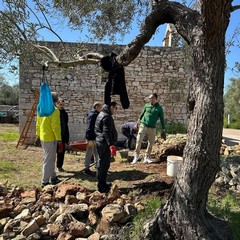 “Dove c’era un muro, oggi nasce un varco”: l’idea dell’associazione “Sentieri Modugnesi” di Modugno