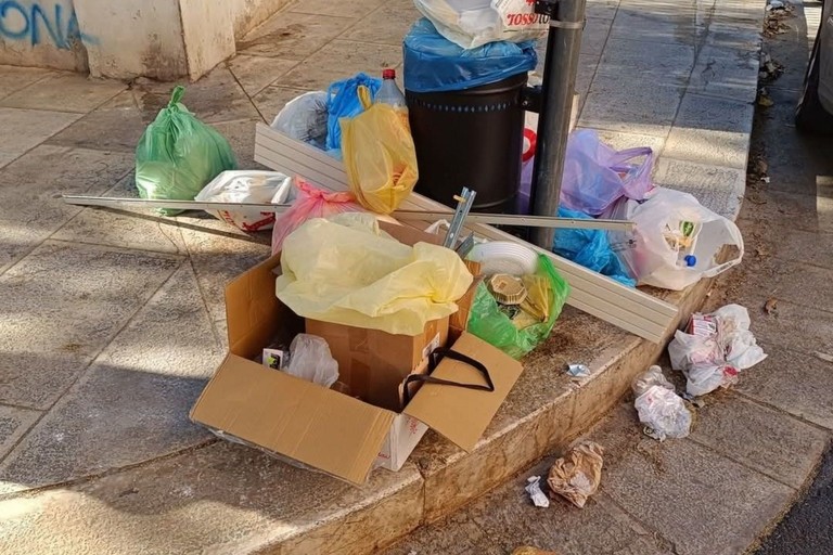 La segnalazione a Modugno. <span>Foto Da facebook.com/modugnoa5stelle</span>
