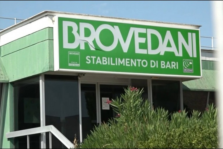 Brovedani