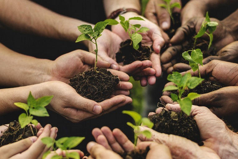 agricoltura sociale