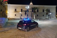 Si era allontanato da Modugno l'estate scorsa, arrestato latitante in Spagna