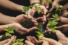 Imprese e sviluppo rurale, il GAL Nuovo Fior d’Olivi fa tappa a Modugno