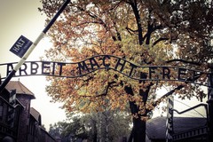 "Auschwitz, Oggi", a Modugno ricordo della Shoah attraverso Elisa Springer