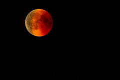 Luna piena della fragola, stasera lo spettacolo dell'eclissi anche a Modugno