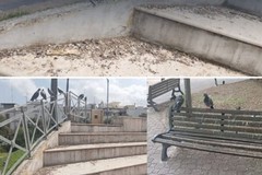 Degrado in villa comunale, Campo Largo di Modugno: «Chiediamo chiarezza e interventi concreti»