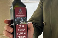 Anche Modugno tra i protagonisti della rassegna Evolio Expo 2026