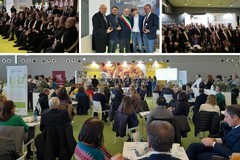 Evolio Expo 2026: anche Modugno aderisce al circuito nazionale Città dell’Olio