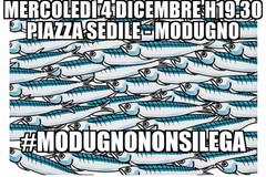 Il movimento sardine anche da noi: in piazza Sedile mercoledì?