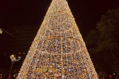 Modugno, inaugurato l'albero di Natale