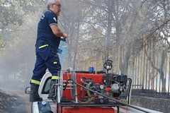 Modugno, incendio nel bosco: danneggiati alcuni alberi secolari