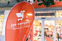 Il prossimo 20 dicembre Joe Zampetti arriva a Fasano