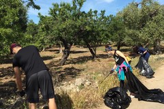 Rifiuti abbandonati nelle campagne, a Modugno in scena la Plastic Free Walk