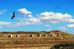 Fotogrammi della Puglia rurale, al via la seconda edizione