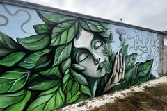 Parco Loiacono a Modugno, ecco il murale "Madre", dell'artista Giuseppe d'Asta