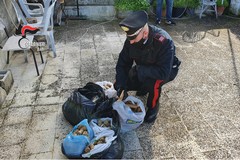 Sorpreso in sella alla bici con botti illegali, arrestato 48enne a Modugno