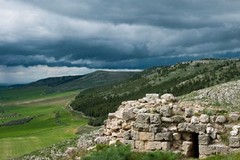 Parco Alta Murgia, 5 Stelle di Bitonto-Modugno: «Interrogazione parlamentare sulla nomina di Loizzo»