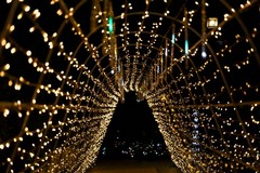 Il Parco San Pio di Modugno si trasforma in un “Parco delle Stelle”