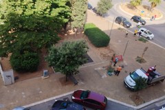 Tornano le panchine in piazza Caldarola al quartiere Cecilia di Modugno