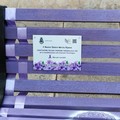 Sindrome fibromialgica, panchina viola a Modugno: l'iniziativa in piazza Capitaneo