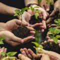 Imprese e sviluppo rurale, il GAL Nuovo Fior d’Olivi fa tappa a Modugno