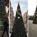 Luci e colori per il grande albero della Tatò Paride in via Sparano