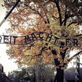  "Auschwitz, Oggi ", a Modugno ricordo della Shoah attraverso Elisa Springer