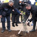 Modugno, mille nuovi alberi nel parco Asi: parte l'intervento di forestazione urbana