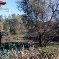 Sorpresi a rubare olive in un terreno: quattro denunce