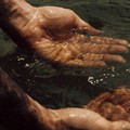 Al via “Con il mare tra le mani” a Modugno, un evento artistico per bambini di ogni età