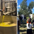 Modugno presente alla 10ª Giornata nazionale “Camminata tra gli Olivi”