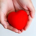 Donazione e cittadinanza, giovedì 2 ottobre incontro a Palazzo Santa Croce a Modugno
