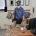 Modugno, nasconde 800 grammi di marijuana: arrestato 25enne