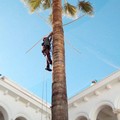 Nel chiostro del Comune una rete anticolombi