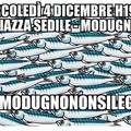 Il movimento sardine anche da noi: in piazza Sedile mercoledì?