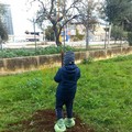 Nuovo verde a Modugno, piantati tre alberi a Campolieto e alla Don Milani