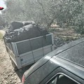 Furti di olive nelle campagne di Modugno: due denunciati