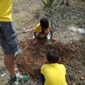 Legambiente Modugno e Retake insieme per un albero per l'Amazzonia