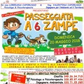 Passeggiata a sei zampe dalle 9 alle 13