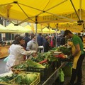 Domenica in piazza Sedile si rivedono le bancarelle del mercato contadino