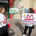 Conad in Puglia: «Disposti a cedere aree gratis se chi subentra prende i dipendenti»