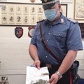 Lancia la droga dall'auto alla vista dei carabinieri, denunciato